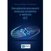 zarządzanie procesami realizacji projektów w sektorze ict