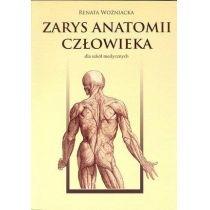 zarys anatomii człowieka