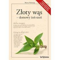 złoty wąs - domowy żeń-szeń