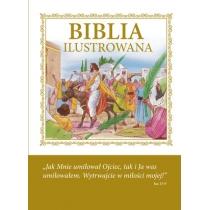 biblia ilustrowana