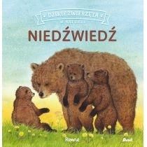 niedźwiedź. dzikie zwierzęta w naturze