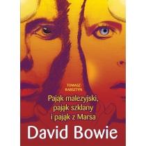 david bowie. pająk malezyjski, pająk szklany i...