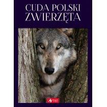 cuda polski zwierzęta