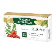 ginseng traganek astragalus suplement diety 10 x 10 ml