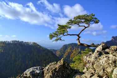 fototapeta góry pieniny fp 1671