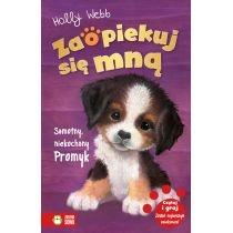 samotny, niekochany promyk. zaopiekuj się mną