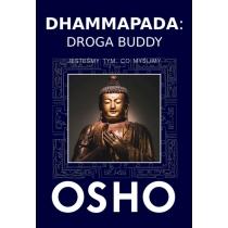 dhammapada: droga buddy