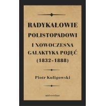 radykałowie polistopadowi i nowoczesna galaktyka..