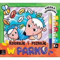 koloruję i poznaję. w parku. kredka segmentowa