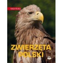 nasza polska. zwierzęta polski