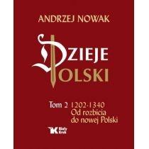 dzieje polski. tom 2. od rozbicia do nowej polski