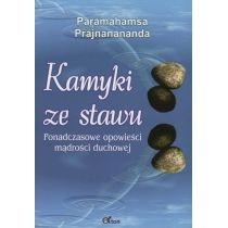 kamyki ze stawu