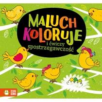 maluch koloruje i ćwiczy spostrzegawczość